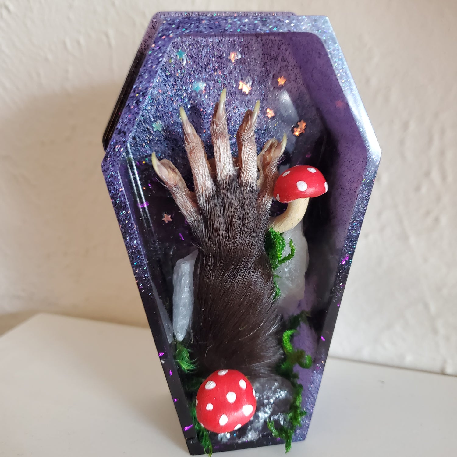 Taxidermy Displays and Curios
